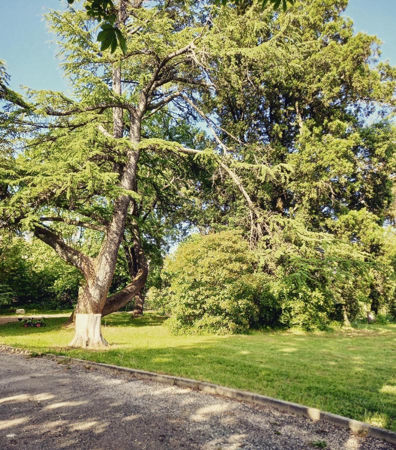 Château de Fabiargues Saint-Ambroix Extérieur photo